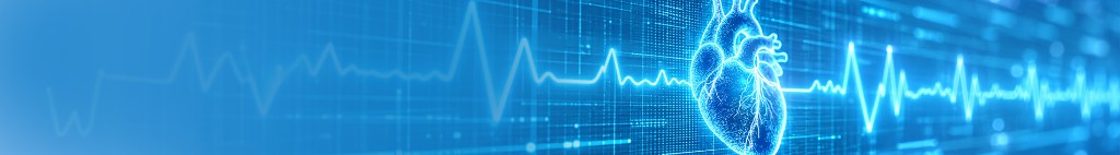 Digital heart model with ECG waveform for rhythm evaluation